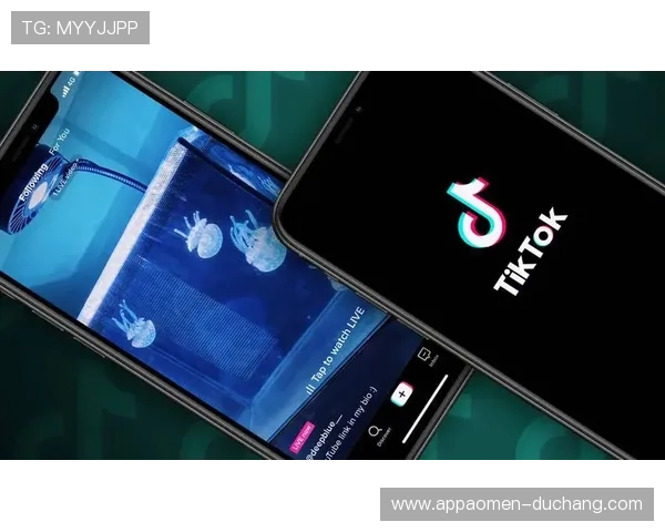 K8视讯大神带你领略最专业的在线视频娱乐平台