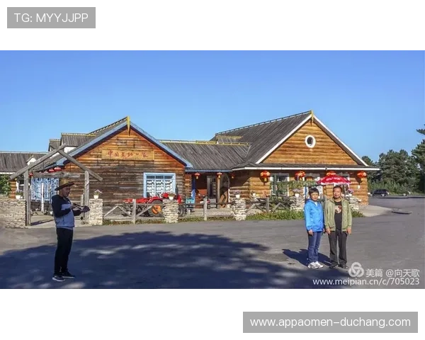 七星线上网址下载：常见问题解决方案与使用体验分享